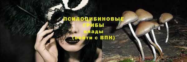 гидропоника Балабаново