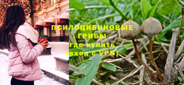 2c-b Балахна