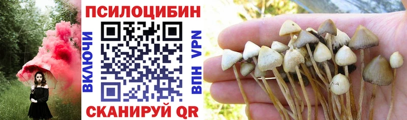 Галлюциногенные грибы Magic Shrooms  Белинский 