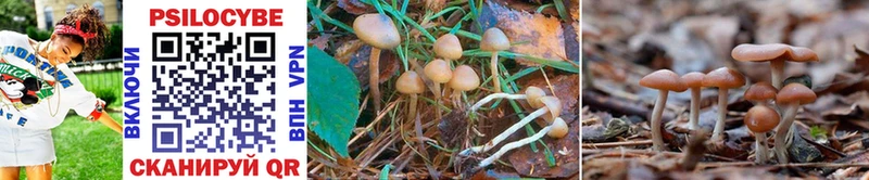 Галлюциногенные грибы MAGIC MUSHROOMS Белинский
